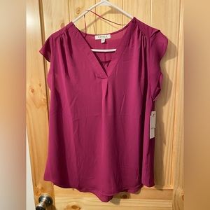 Chaus dress top 1xl BnWt
